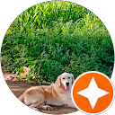 Dinesh kumar 18 Mel 13 profile picture